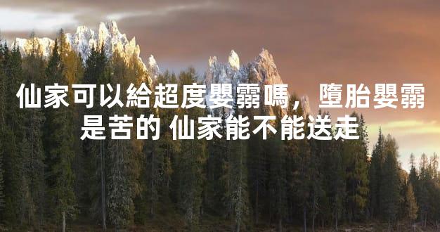 仙家可以給超度嬰霛嗎，墮胎嬰霛是苦的 仙家能不能送走